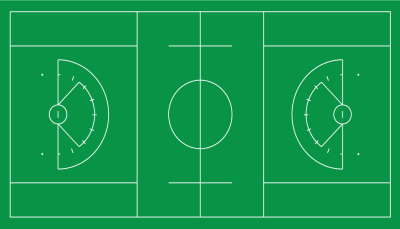 Animated unified lacrosse field, by Turf Tank