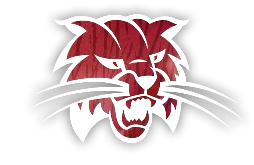 Bowling Green High School logo, by Turf Tank